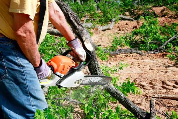 Best Commercial Tree Services  in Port Monmouth, NJ